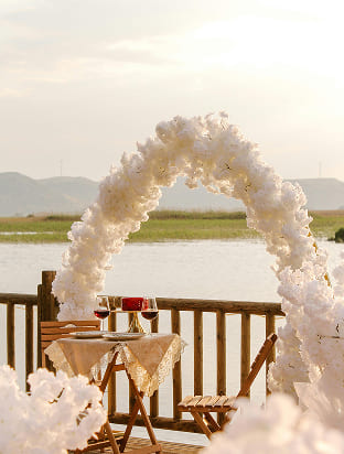destWeddingCelebration3